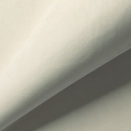 Велюр  Балтика - CF041-1 - Обивочная ткань Балтика
